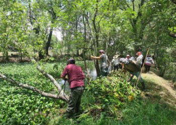 En marzo reactivan empleo temporal para preservar el lago de Pátzcuaro: Ramírez Bedolla