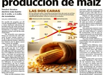 Así la insuficiencia en la producción alimentaria de México