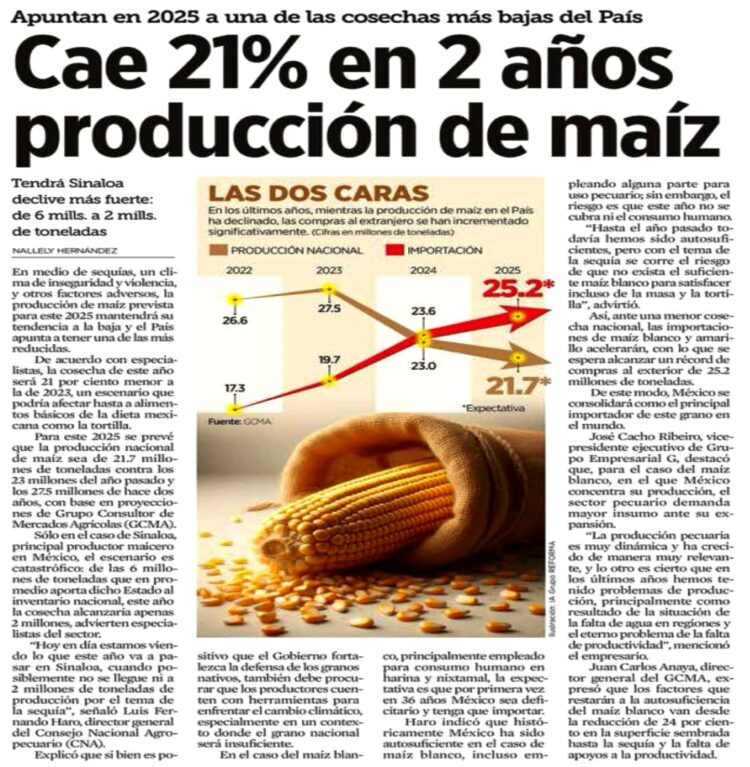 Así la insuficiencia en la producción alimentaria de México