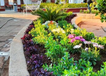 Mejoran imagen urbana en Morelos, con jardineras en la plaza principal