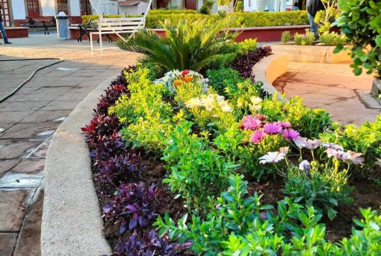 Mejoran imagen urbana en Morelos, con jardineras en la plaza principal