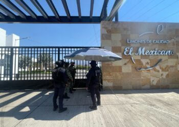 Operativo en Apatzingán y Buenavista garantiza seguridad del sector citrícola: SSP