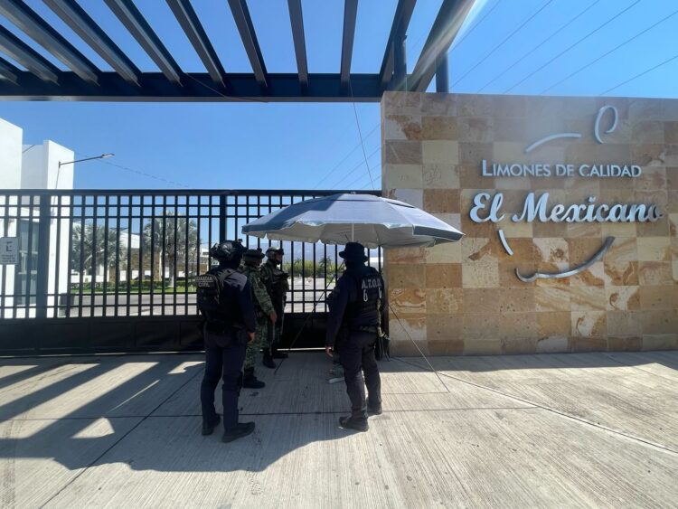 Operativo en Apatzingán y Buenavista garantiza seguridad del sector citrícola: SSP