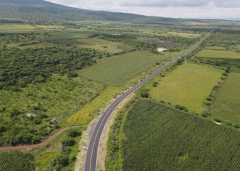 Gobierno de Michoacán ha rehabilitado 50 % de la red carretera: SCOP