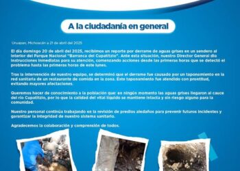 Todo en orden en el río Cupatitzio: Capasu