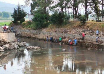 Inicia gobierno estatal empleos temporales para rescatar lago de Pátzcuaro