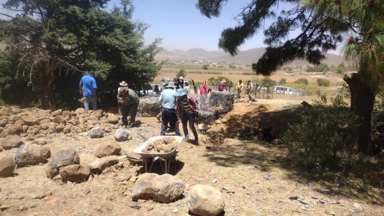 Empleos temporales impulsan rescate del lago de Pátzcuaro
