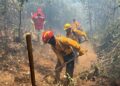 Brigadas apagan 9 incendios forestales y controlan 6 más: Cofom