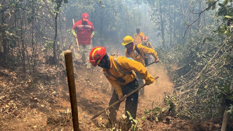 Brigadas apagan 9 incendios forestales y controlan 6 más: Cofom