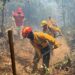 Brigadas apagan 9 incendios forestales y controlan 6 más: Cofom