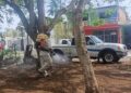 Refuerza Gobierno de Los Reyes acciones contra el dengue