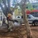 Refuerza Gobierno de Los Reyes acciones contra el dengue