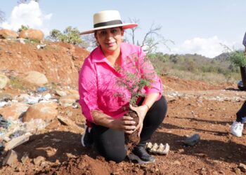 Reforesta Quiroga con 500 árboles en Día Mundial del Medio Ambiente