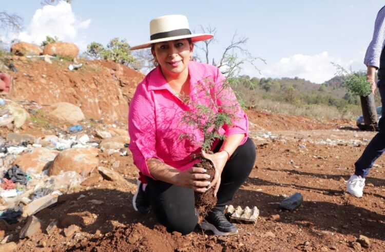 Reforesta Quiroga con 500 árboles en Día Mundial del Medio Ambiente