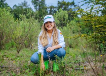 Reforestar no es sólo plantar árboles, es sembrar un mejor futuro: Alcaldesa Dayana Pérez