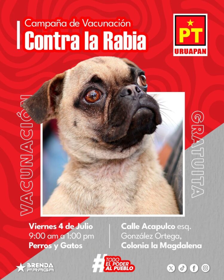 ¿Tienes mascota? ¡¡ llévala a vacunar, no te hagas pato !!