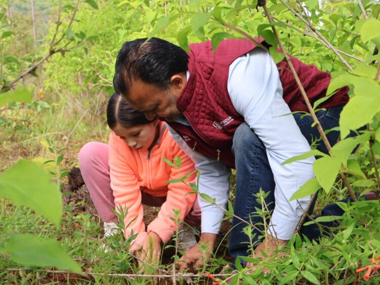 Inicia edil Julio Arreola campaña Reforestación 2025 en Pátzcuaro