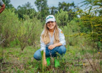 Apoya Dayana Pérez Medio Ambiente con Plantación de 2,500 Pinos en Salvador Escalante