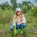 Apoya Dayana Pérez Medio Ambiente con Plantación de 2,500 Pinos en Salvador Escalante