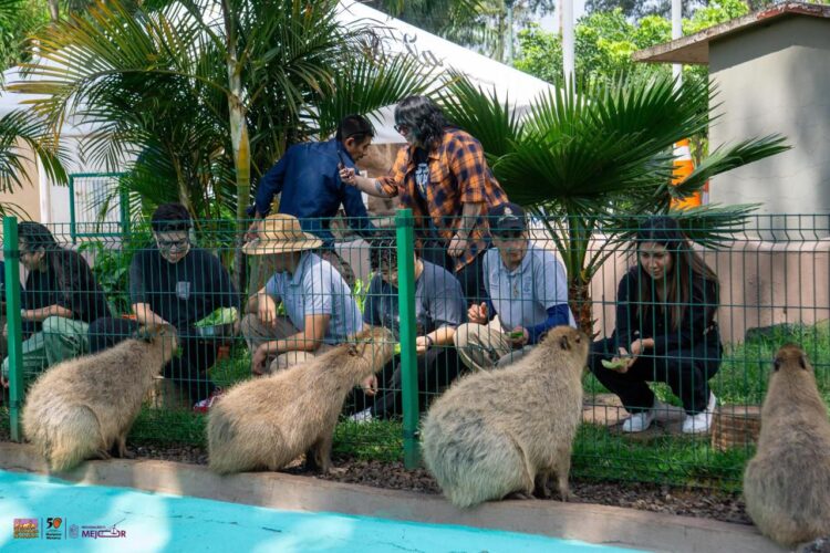 Escápate al zoológico y vive un verano inolvidable; conoce horario de temporada