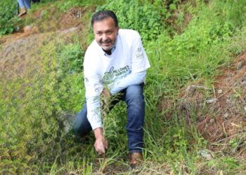 Encabeza edil Julio Arreola reforestación con 2 mil ahuehuetes en Urandén