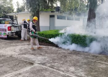 Intensifican acciones para erradicar mosquito transmisor del dengue en Uruapan