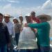 Siembra Gobierno de Michoacán 15 mil crías de pescado blanco en lago de Pátzcuaro