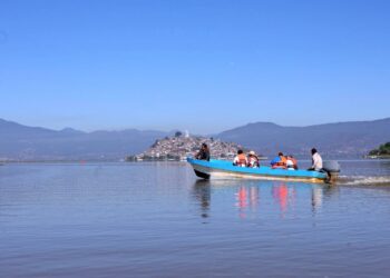 Pescado blanco de Pátzcuaro será protegido con Indicación Geográfica: ICTI