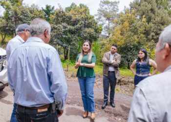 Propone Dayana Pérez mejorar vialidades con apoyo de aguacateros de Salvador Escalante