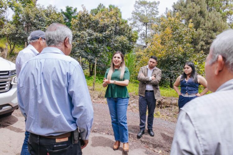 Propone Dayana Pérez mejorar vialidades con apoyo de aguacateros de Salvador Escalante
