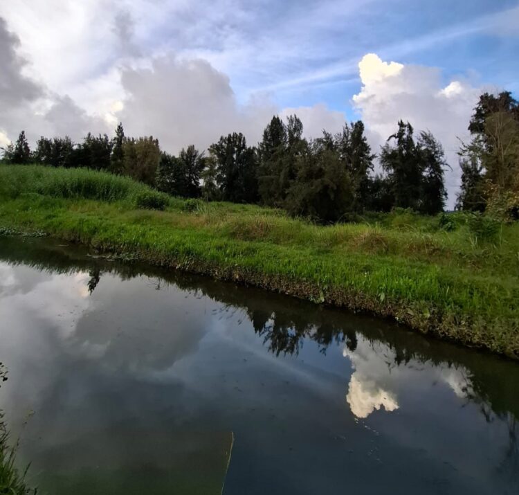 Preservar y fortalecer Parque Urbano Ecológico de Uruapan, objetivo ambientalista