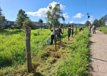 Uruapenses se unen en defensa del Parque Urbano Ecológico