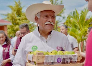 Michoacán lidera producción nacional de guayaba: Sader