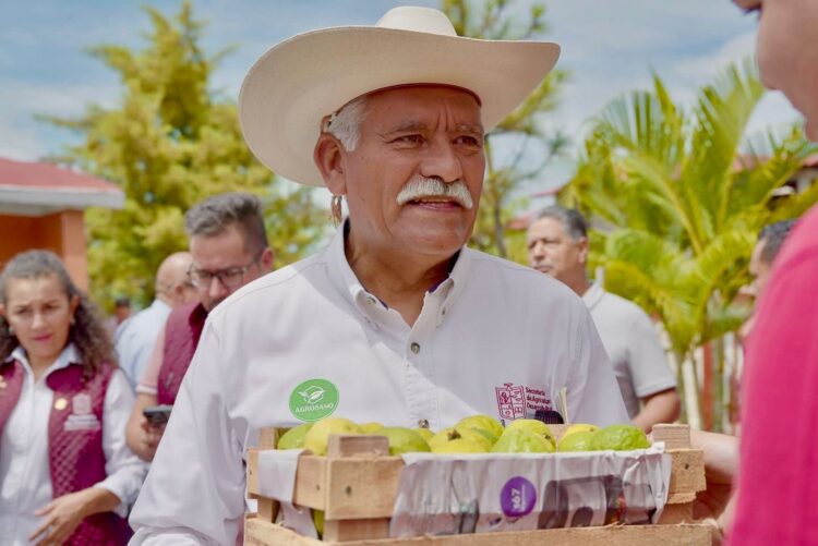 Michoacán lidera producción nacional de guayaba: Sader