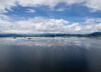 Inicia Compesca rehabilitación de más de 60 hectáreas del lago de Cuitzeo