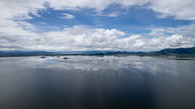 Inicia Compesca rehabilitación de más de 60 hectáreas del lago de Cuitzeo