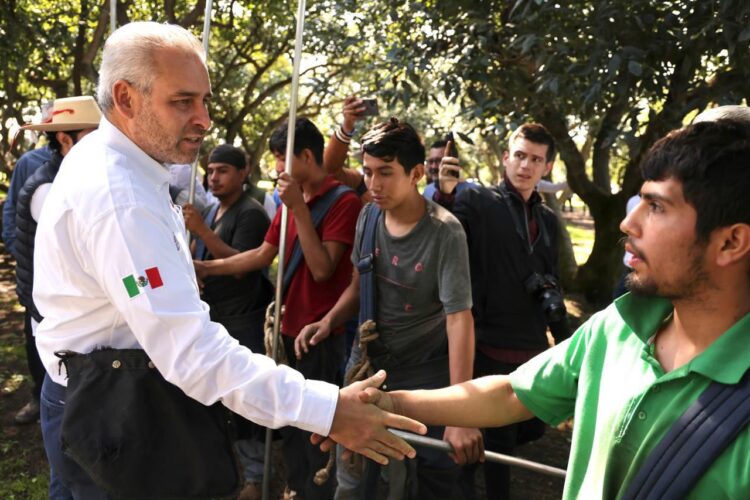 Busca Bedolla proteger aguacate michoacano con Indicación Geográfica