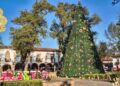 ¡Pátzcuaro se ilumina con su nacimiento monumental y árbol navideño!: Sectur
