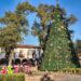 ¡Pátzcuaro se ilumina con su nacimiento monumental y árbol navideño!: Sectur