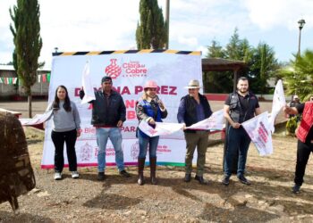 Inicia Dayana Pérez empedrado y alumbrado público en Iramuco