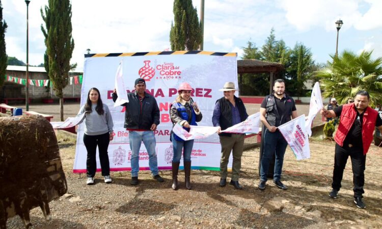 Inicia Dayana Pérez empedrado y alumbrado público en Iramuco