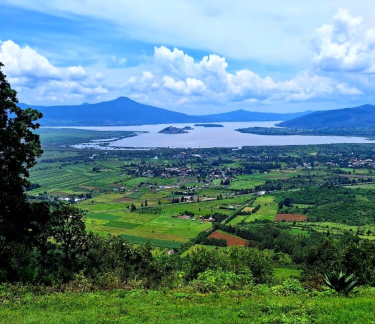 Recuperadas 500 hectáreas de superficie del lago de Pátzcuaro