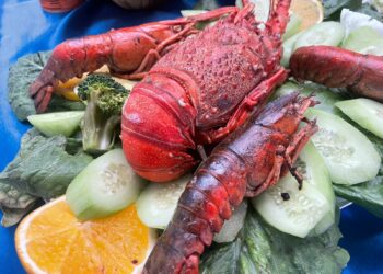 ¿Dónde comprar pescado de calidad a bajo costo? Inicia Compesca Programa de Cuaresma