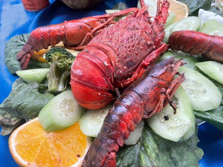 ¿Dónde comprar pescado de calidad a bajo costo? Inicia Compesca Programa de Cuaresma