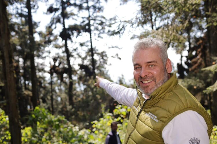 Michoacán ya casi erradica tala clandestina en Reserva de la Monarca