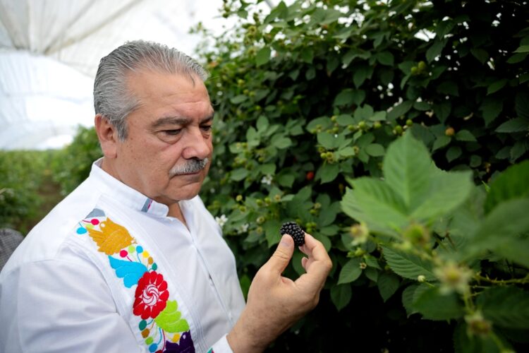 Atiende Morón su compromiso de impulsar el campo michoacano