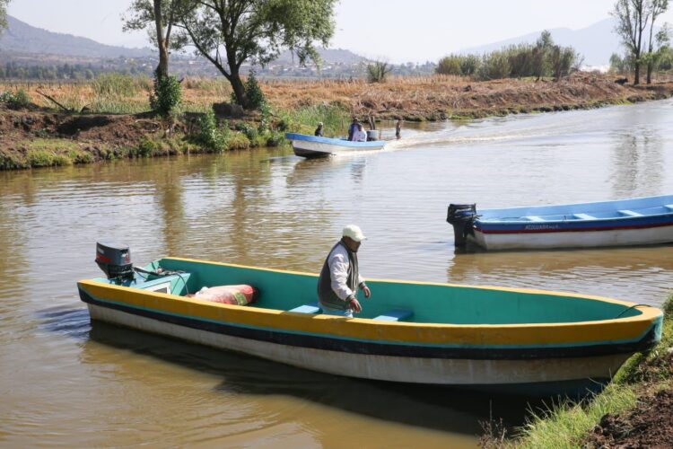 Habrá mil empleos temporales para rescate del Lago de Pátzcuaro: Bedolla
