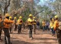 Finalmente controlan el incendio forestal en Nuevo Urecho
