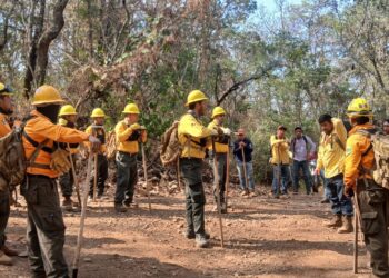 Finalmente controlan el incendio forestal en Nuevo Urecho