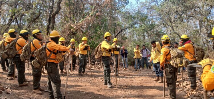 Finalmente controlan el incendio forestal en Nuevo Urecho